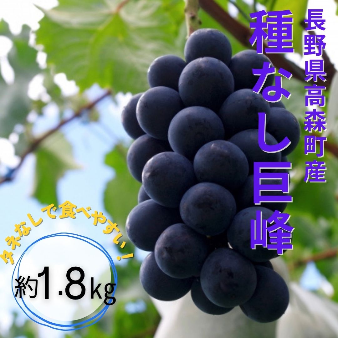 【ふるさと納税】【南信州高森産】種なし巨峰約1.8kg＜8月中旬より発送＞【配送不可地域：離島】