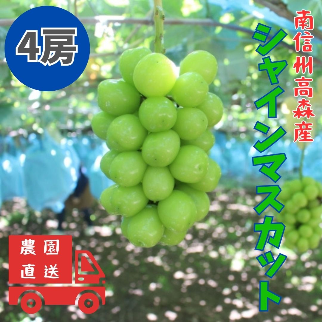 【ふるさと納税】【南信州高森産】シャインマスカット 4房【配送不可地域：離島】