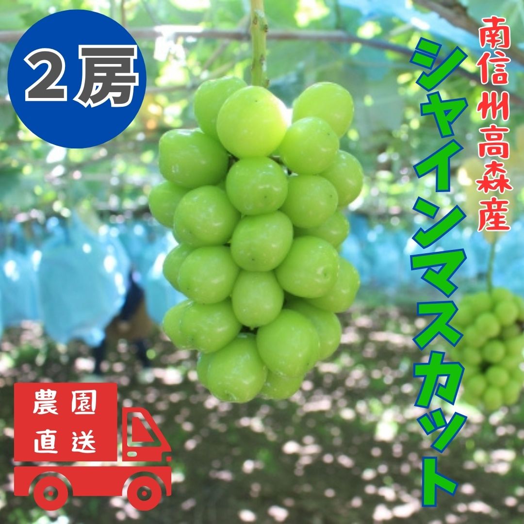 【ふるさと納税】【南信州高森産】シャインマスカット 2房【配送不可地域：離島】