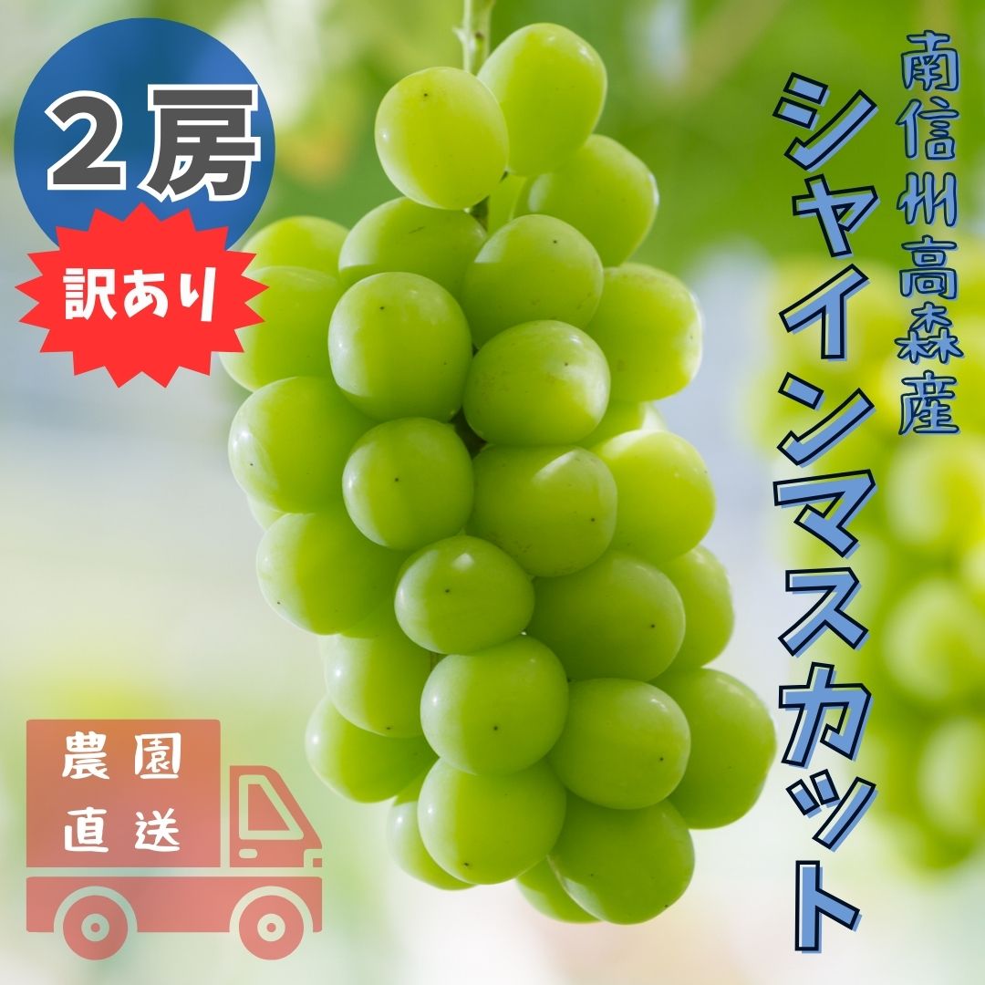 【ふるさと納税】【南信州高森産】訳ありシャインマスカット　2房【配送不可地域：離島】