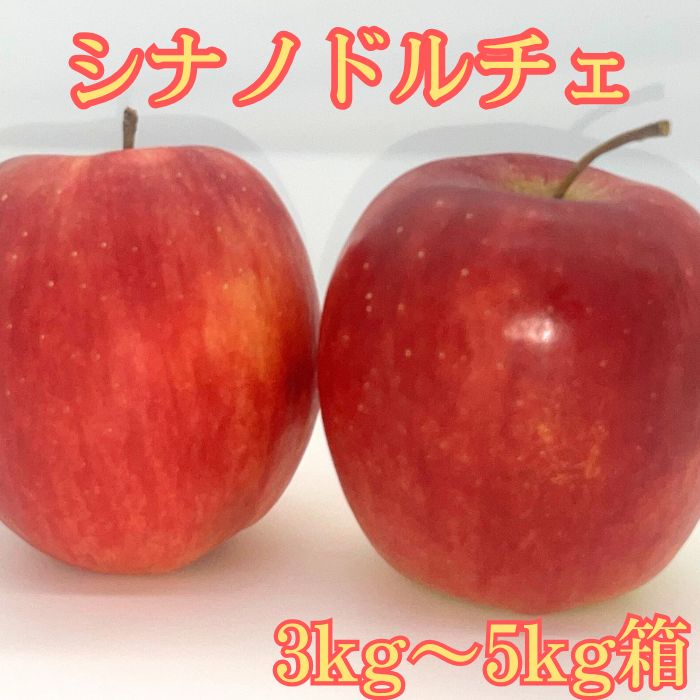 【ふるさと納税】りんご シナノドルチェ 3kg箱～＜9月下旬より発送＞ 長野県 信州 南信州 高森町 りんご 旬のりんご 旬の果物 大野農園【配送不可地域：離島】