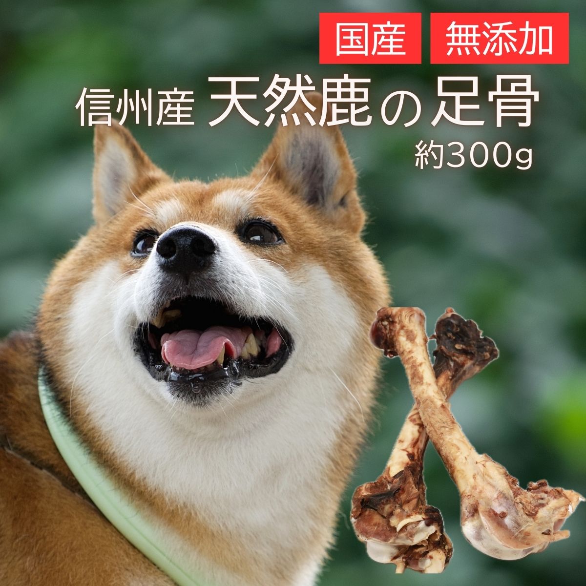 【ふるさと納税】信州産生まれながら鹿 足骨 300g【送りとどける不可一画：離島】