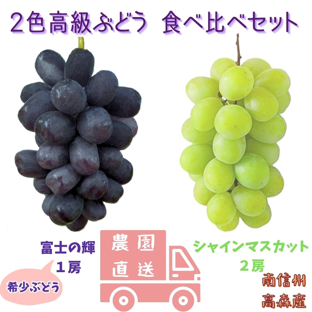 【ふるさと納税】ぶどう セット【数量限定】2色高級ぶどう(シャインマスカット、富士の輝)食べ比べセット 長野県 信州 南信州 高森町 農家直送 果物 くだもの ぶどう 旬のぶどう ぶどうセット 鶴屋農園【配送不可地域：離島】
