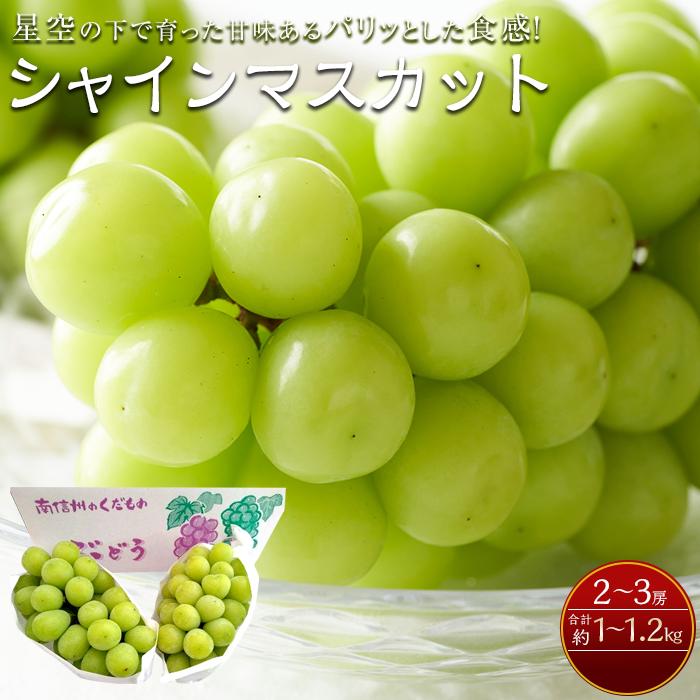 【ふるさと納税】【先行予約】＜9月下旬頃～配送＞南信州阿智村 シャインマスカット｜果物 フルーツ 期間限定 数量限定 ぶどう 葡萄 1.0～1.2kg 信州 長野