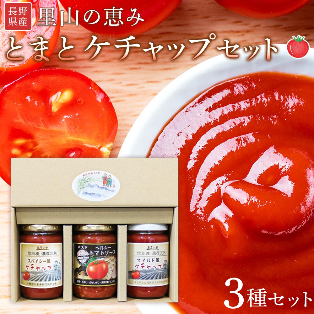 【ふるさと納税】里山の恵みとまとケチャップセット | 野菜 tomato トマト やさい ケチャップ 調味料 料理 オムライス チキンライス 煮物|長野県阿智村