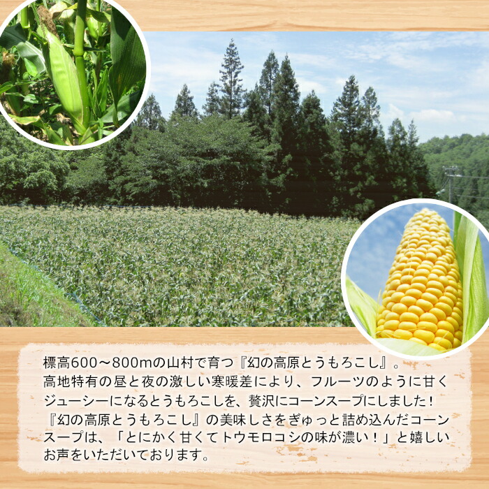 楽天市場】【ふるさと納税】☆1月発送☆とうもろこしの名産地 南信州根羽村産 コーンスープ 5人前 とうもろこし コーン 甘くてとにかく濃い！：長野県 根羽村
