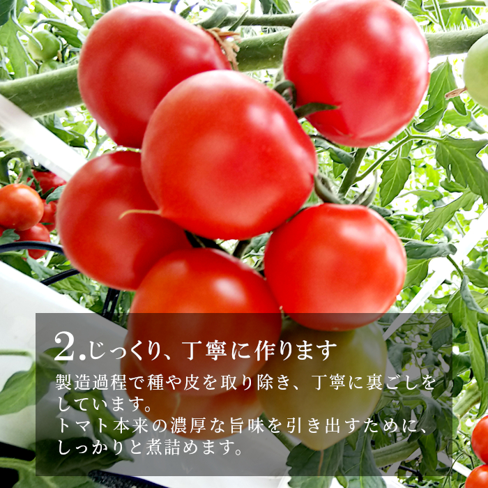 市場 ふるさと納税 トマト農家さんのトマトピューレ 保存料 6個 320g×6個 化学調味料不使用 食塩