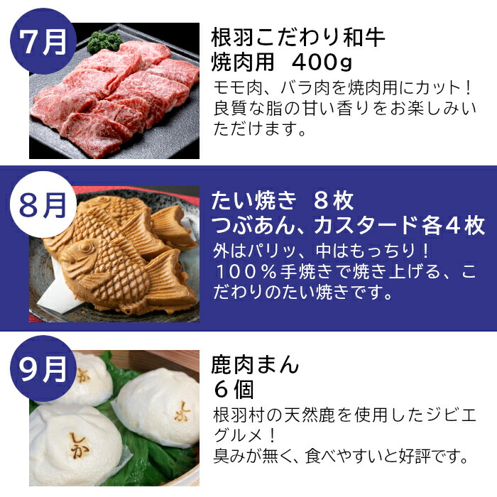 本物◇ 全9回 根羽村満喫定期便 切り落とし アイス アイスクリーム コロッケ トマト 焼肉 たい焼き 国産黒毛和牛 ケーキ タルト fucoa.cl