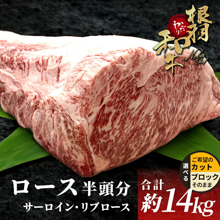 【ふるさと納税】数量限定★根羽こだわり和牛 黒毛和牛 ロースブロック 半頭分 約14kg サーロイン リブロース ブロック肉 塊肉 塊 牛肉 国産牛 お祝い パーティ ステーキ 焼肉 BBQ 霜降り すき焼き しゃぶしゃぶ 大人数 モモブロック ロースブロック