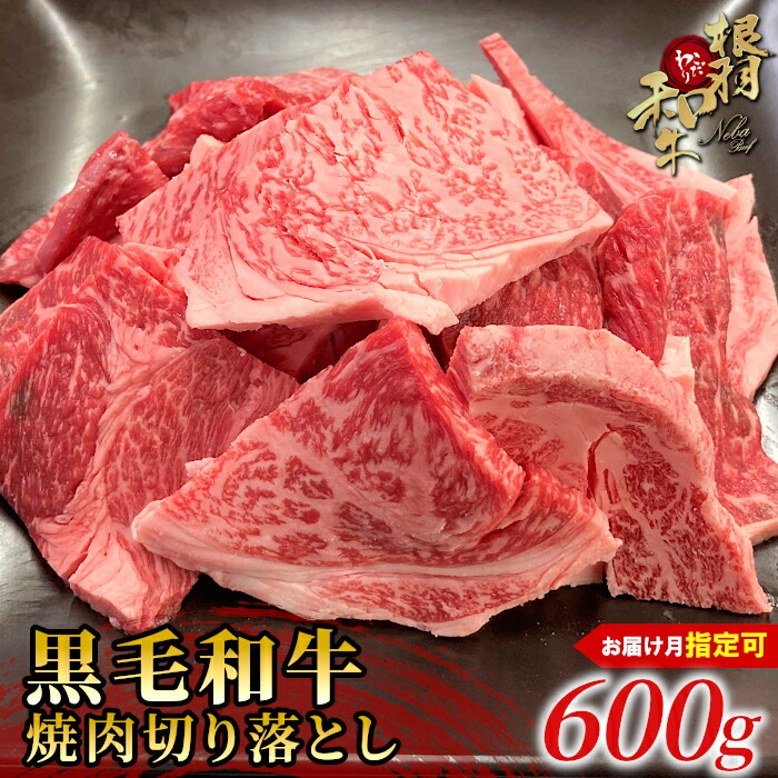 【ふるさと納税】〈お届け月が選べる〉根羽こだわり和牛 焼肉 牛肉 切り落とし 600g 赤身 霜降り カルビ リブロース カタロース モモ カタ バラ ウデ 国産黒毛和牛 和牛 切り落とし 不揃い 訳あり 和牛 牛 10000円 10,000円 一万円 8,250円