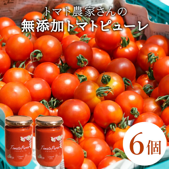 【ふるさと納税】保存料・食塩・化学調味料不使用！トマト農家さんのトマトピューレ 6個 ( 320g&times;6個 ) トマト 野菜 ピューレ パスタソース 万能 フルティカトマト 21,000円 21000円｜長野県根羽村