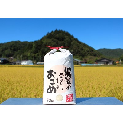 【ふるさと納税】【令和7年産】うるぎ米 10kg【1547247】 22,500円