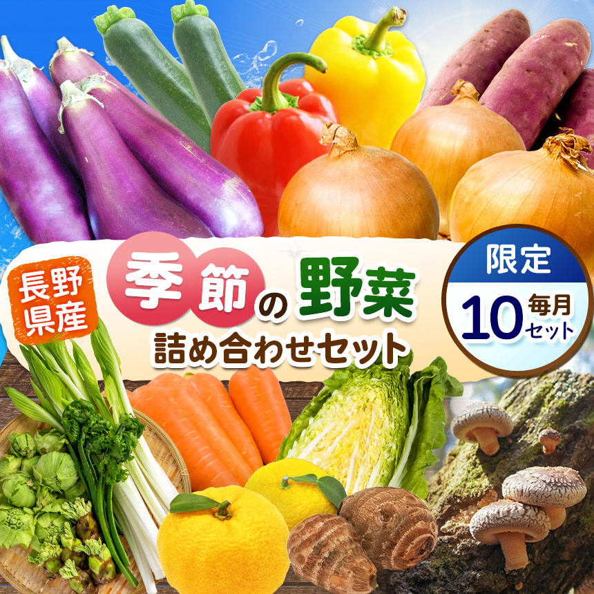 【ふるさと納税】【定期便5回】季節の野菜セット | 詰め合わせ セット 野菜 野菜セット 農産物 野菜類 詰合せ セット 長野県 天龍 てんりゅう 27,380円