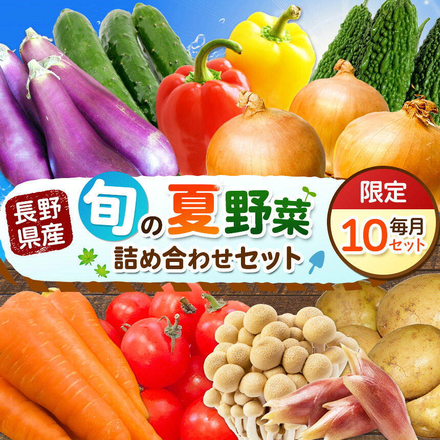 【ふるさと納税】先行受付！ 令和8年 7月～9月配送予定 天龍村 旬の夏野菜 （ 農産物 ） | 詰め合わせ セット 野菜 野菜セット 夏野菜 農産物 野菜類 詰合せ セット 長野県 天龍 てんりゅう