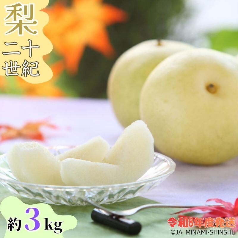 【ふるさと納税】【令和8年度発送先行予約品】8-J33 【南信州産】20世紀梨 太鼓判 約3kg　8玉～10玉 なし 梨 和梨　二十世紀 20世紀 南信州 みなみ信州 たかぎ
