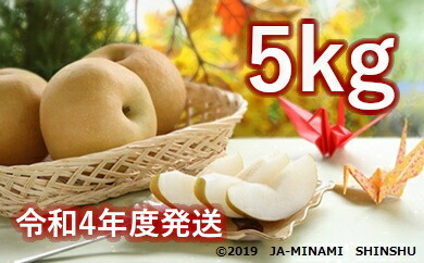 【ふるさと納税】4-J09 梨(南水)【太鼓判・優糖生】約5kg