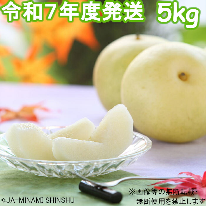 【ふるさと納税】【令和7年度発送先行予約品】7-J34 【南信州産】20世紀梨 太鼓判 約5kg 10玉～16玉 なし 梨 和梨 二十世紀 20世紀 南信州 みなみ信州 たかぎ