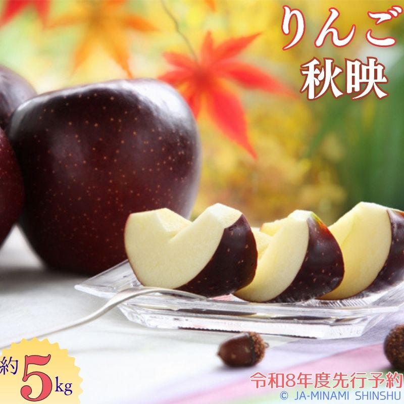【ふるさと納税】J10 秋映 約5kg あきばえ 5kg りんご 9月 10月