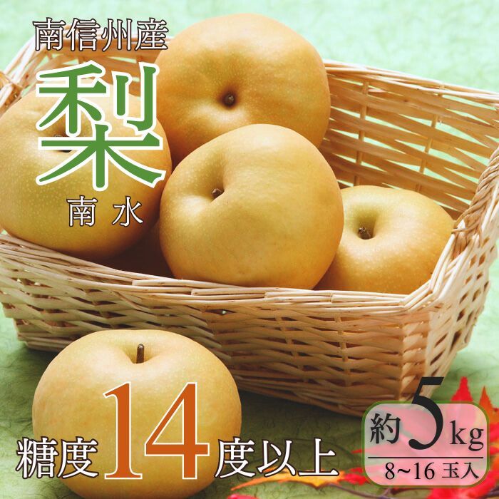 【ふるさと納税】＜先行予約＞梨 南水[8～16玉]約5kg※2025年発送　先行予約分※