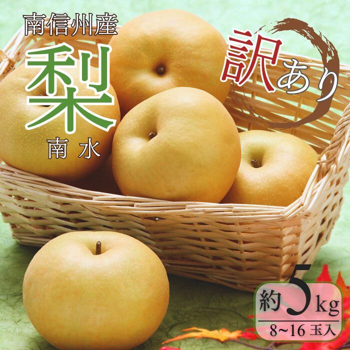【ふるさと納税】＜先行予約＞梨 南水＜訳あり品 ＞[8～16玉]約5kg ※2025年発送　先行予約分※