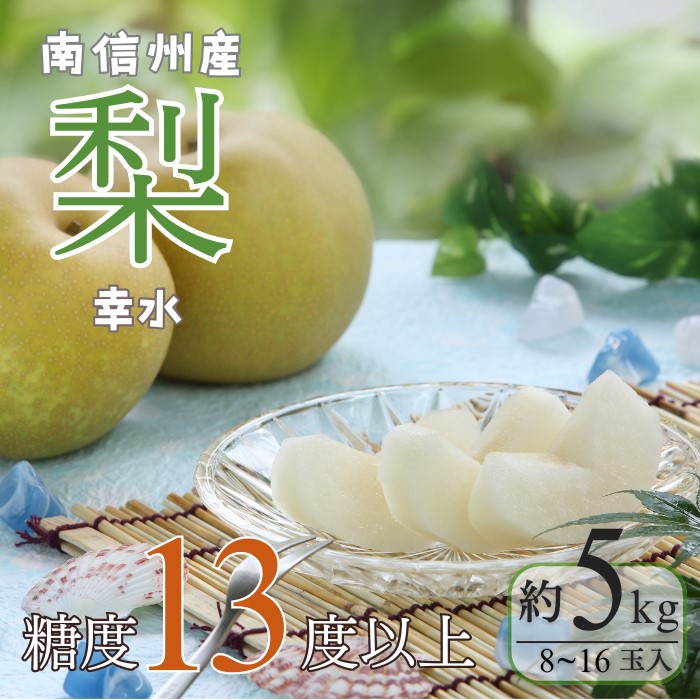 【ふるさと納税】＜先行予約＞梨 幸水 約5kg[8～16玉]　※2025年発送　先行予約分※