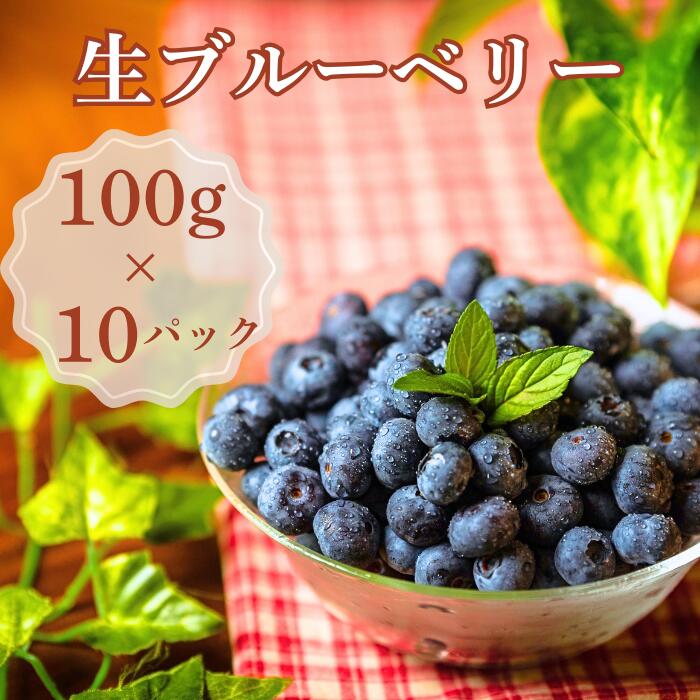【ふるさと納税】生ブルーベリー 約1kg（100g×10パック）＜2025年発送　先行予約＞
