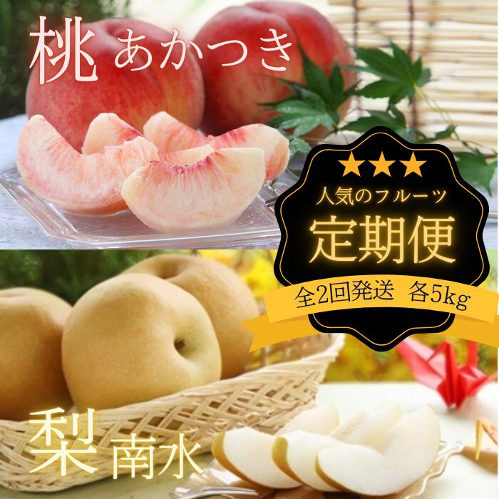 【ふるさと納税】【2025年発送先行予約】南信州産 定期便2回送り　人気果実の返礼品セット　各5kg　＜桃　あかつき＞＜梨　南水＞