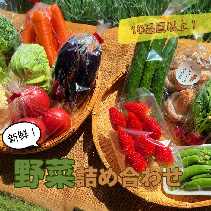 【ふるさと納税】【10品目以上】季節の野菜詰め合わせ＜旬の果物入り！＞