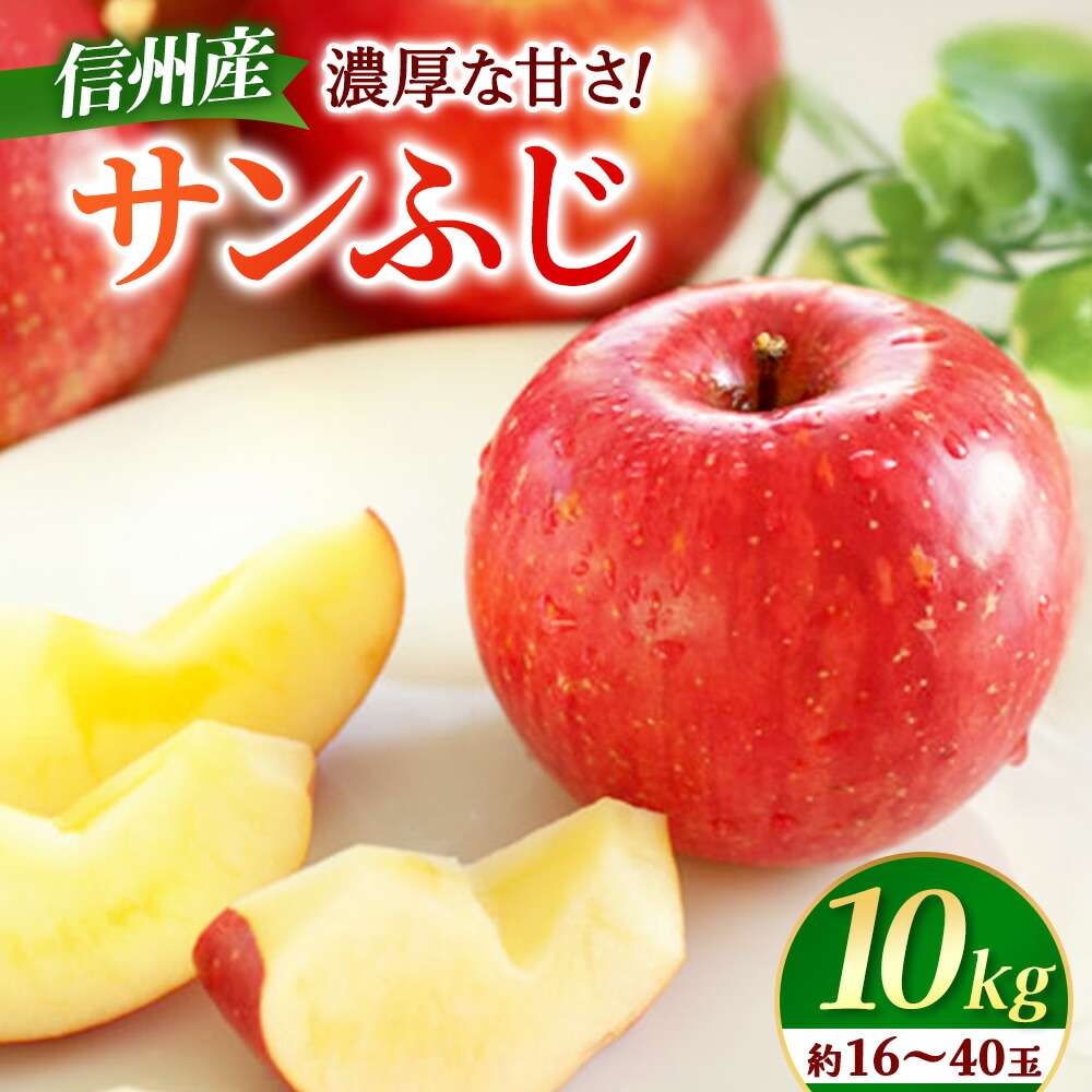 【ふるさと納税】＜先行予約＞りんご　サンふじ　約10kg　＜2026年11月下旬～12月中旬発送予定＞　リンゴ｜長野県産｜果物｜くだもの