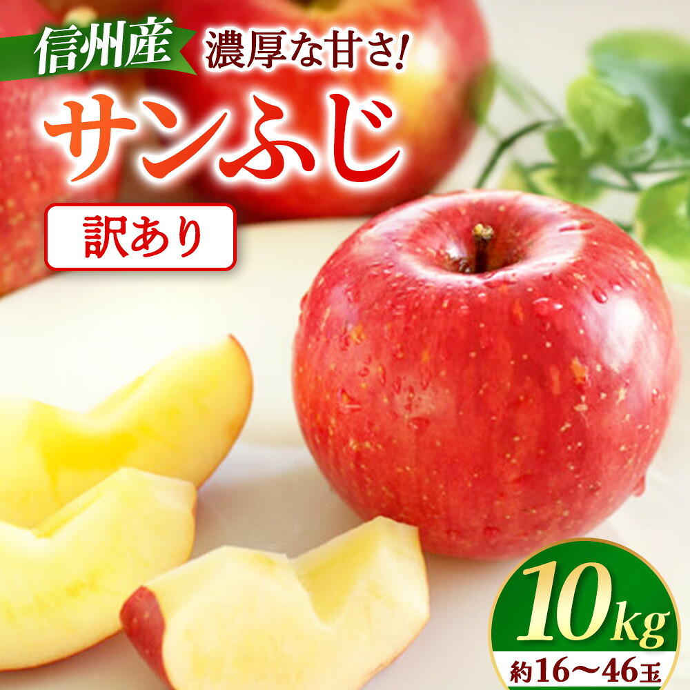 【ふるさと納税】＜先行予約＞※訳あり※ りんご　サンふじ　約10kg　＜2027年1月上旬～2月上旬発送予定＞　リンゴ｜長野県産｜果物｜くだもの