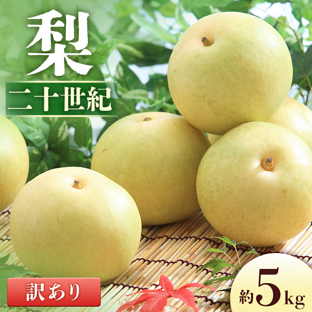 【ふるさと納税】＜先行予約＞梨 二十世紀※訳あり品※ 約5kg[8～16玉]　※2026年9月中旬～9月下旬発送※