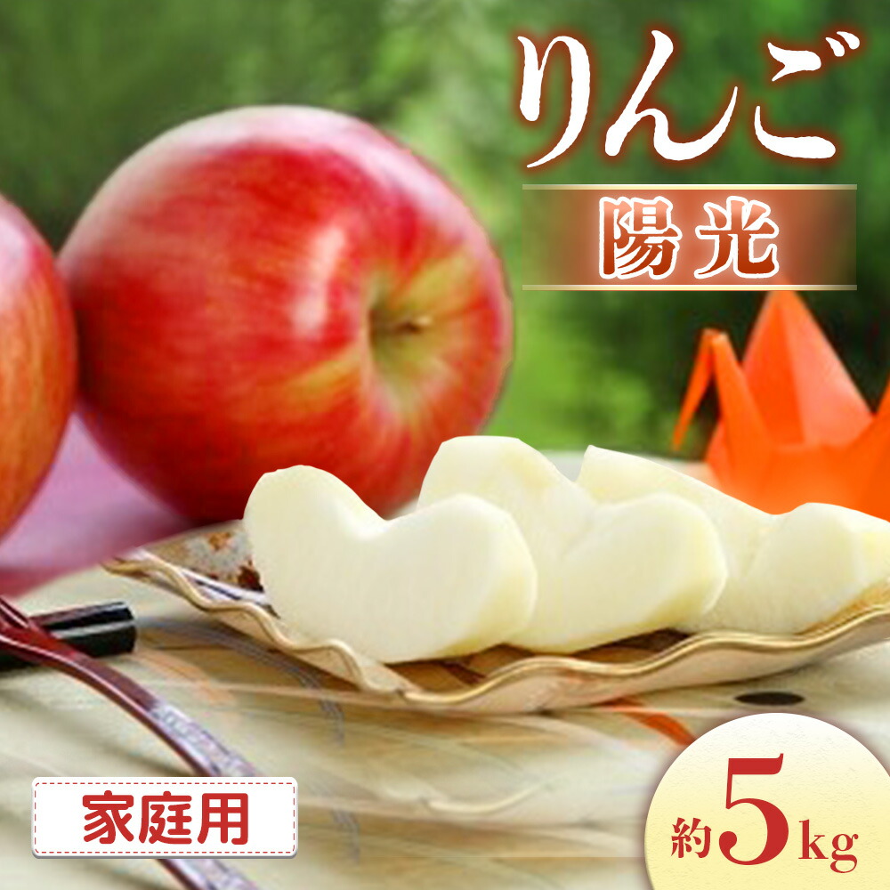 (15玉〜16玉サイズ南水梨)約10kg訳ありご家庭用★送料込★秋田県産 南水梨 5kg（10~16玉）｜あずさ屋