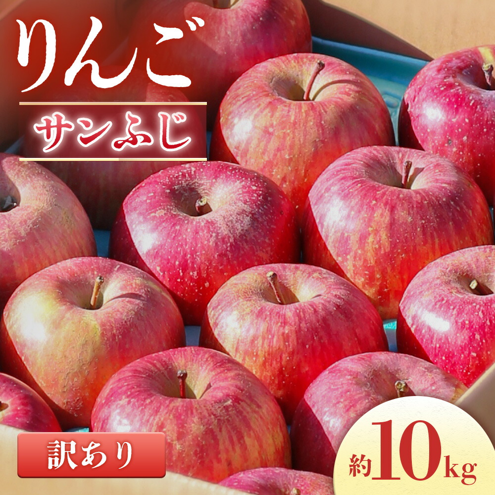 【ふるさと納税】＜先行予約＞りんご サンふじ＜訳あり品＞ 約10kg[20～40玉]※2026年11月下旬～12月中旬発送※