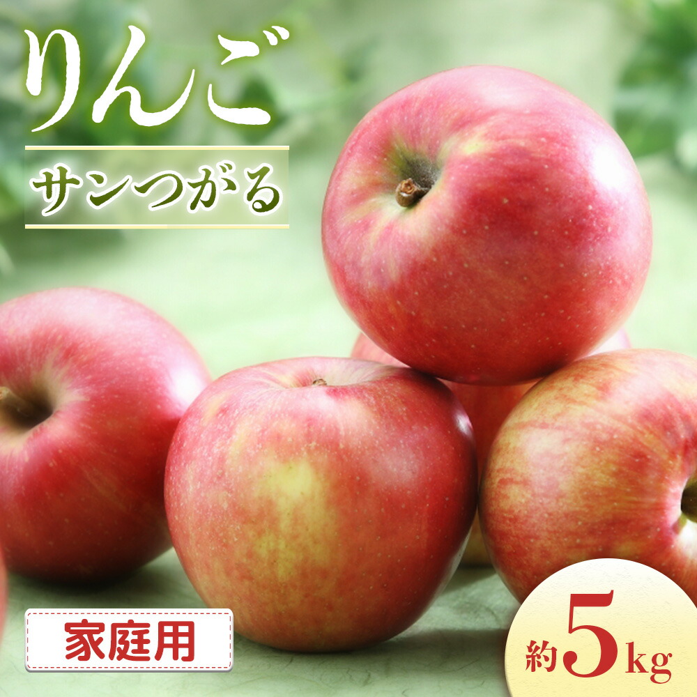【ふるさと納税】＜先行予約＞りんご　サンつがる＜ご家庭用＞【16～20玉】※2026年8月下旬～9月上旬配送※｜長野県豊丘村