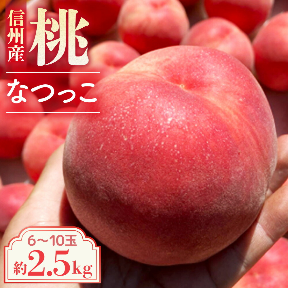 【ふるさと納税】【2026年発送先行予約】桃 なつっこ 約2.5kg【6~10玉】※2026年発送先行予約分※ 農家直送 もも|長野県豊丘村