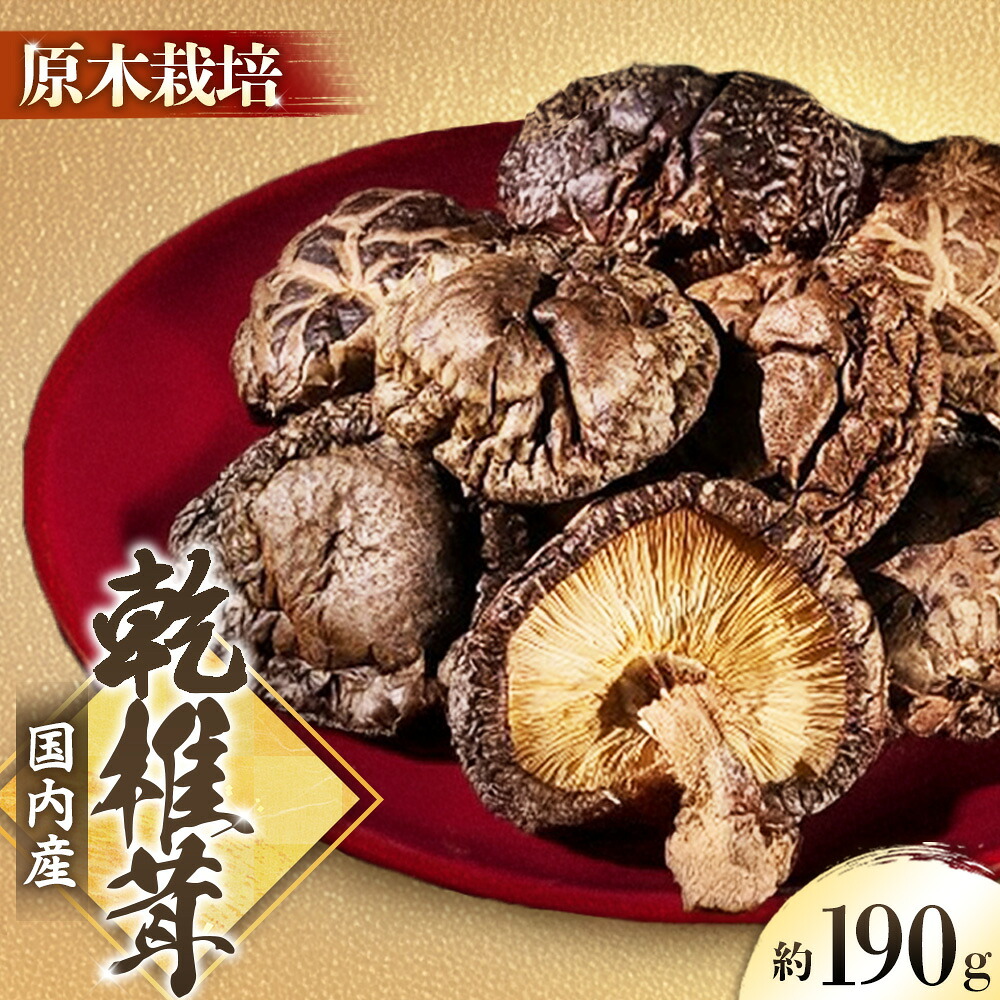 【ふるさと納税】【原木栽培】国産乾しいたけ 約190g|長野県豊丘村