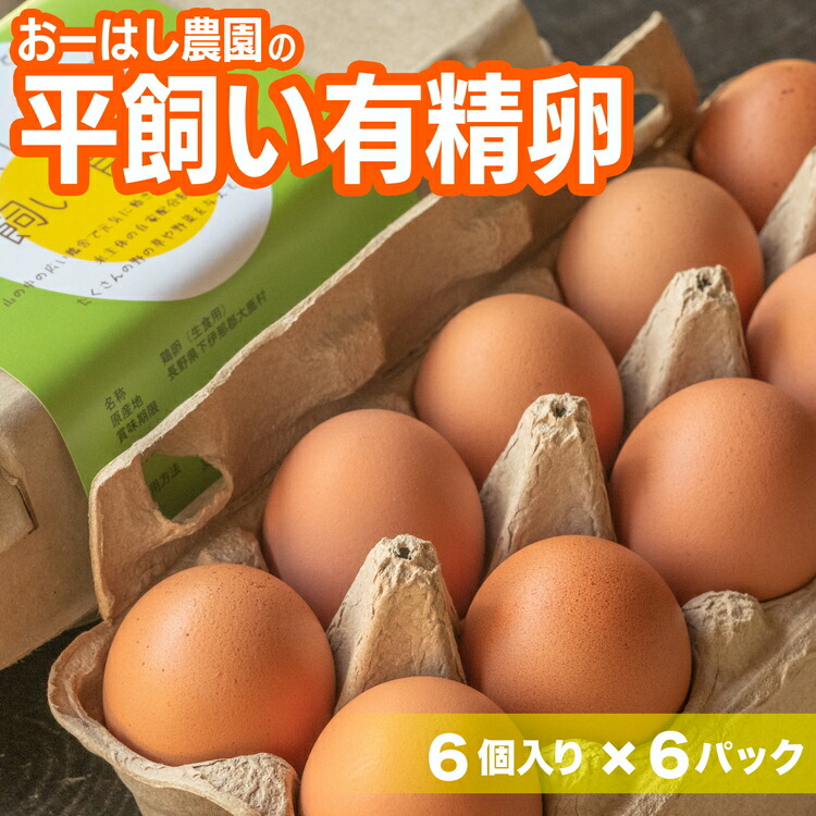 【ふるさと納税】おーはし農園の平飼い有精卵  6個 6パック | たまご 玉子 鶏 新鮮