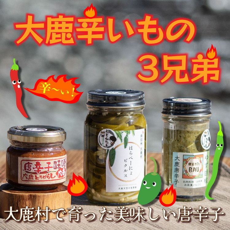 【ふるさと納税】大鹿辛いもの3兄弟