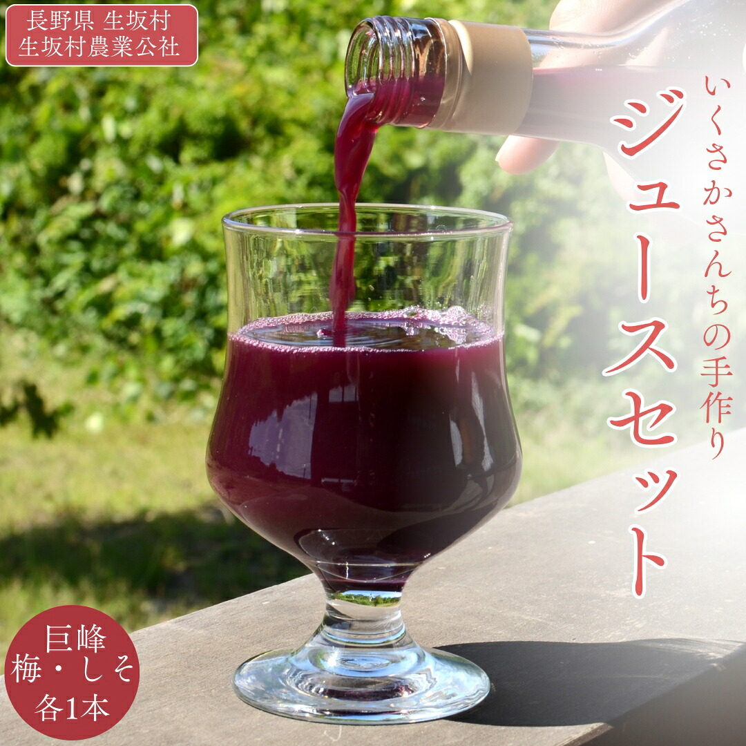 【ふるさと納税】かあさん家 手作り ジュース 3種 セット ぶどう うめ 飲み比べ (巨峰ジュース・梅ジュース・しそジュース 各720ml) 計3本 信州産 | 詰め合わせ 特産品 100% 果汁 飲料 | 長野県 生坂村 [生坂村農業公社]