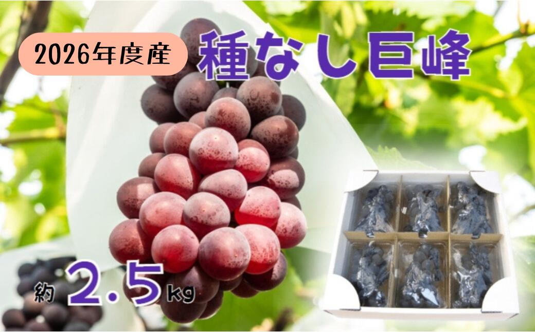 【ふるさと納税】【2026年先行予約】ぶどう 巨峰 バラ房・バラ粒パック 約2.5kg (約420g × 6パック) 訳あり 種なし 信州直送 | 長野県産 ブドウ 種無し 葡萄 | 令和8年9月中旬~10月中旬頃順次発送予定 | 長野県 生坂村 [姫野農園]