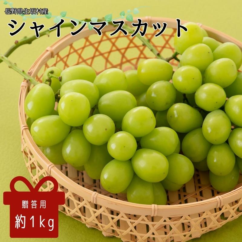【ふるさと納税】【2026年発送 先行予約】マスカット シャインマスカット 約1kg (2房) ぶどう 信州直送 | 贈答用 長野県産 ブドウ 種なし 葡萄 くだもの ギフト プレゼント | 令和8年9月上旬~10月中旬頃順次発送予定 | 長野県 生坂村 [株式会社野の香]｜長野県生坂村