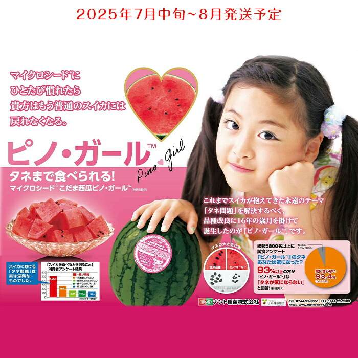 【ふるさと納税】先行予約 ピノガール 3L～4L 約4.4kg～6.4kg（約2.2kg～3.2kg×2玉） スイカ 西瓜 こだま 小玉すいか 種まで食べられる 送料無料 ピノガール2玉【2025年7月中旬～8月中旬発送予定】