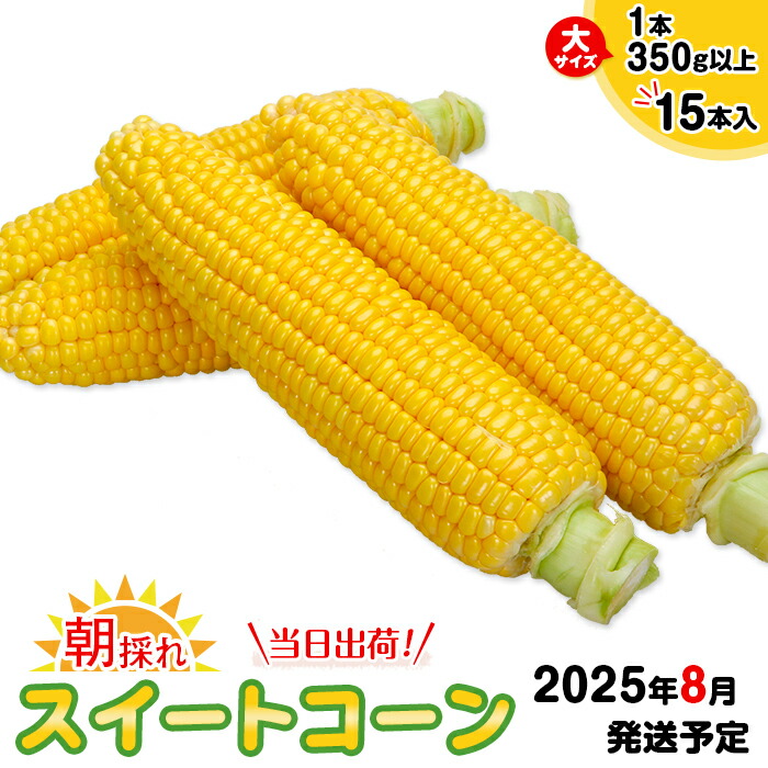 【ふるさと納税】とうもろこし 季節限定 数量限定 朝どれ スイートコーン15本入(1本350g以上)【2025年8月発送予定】