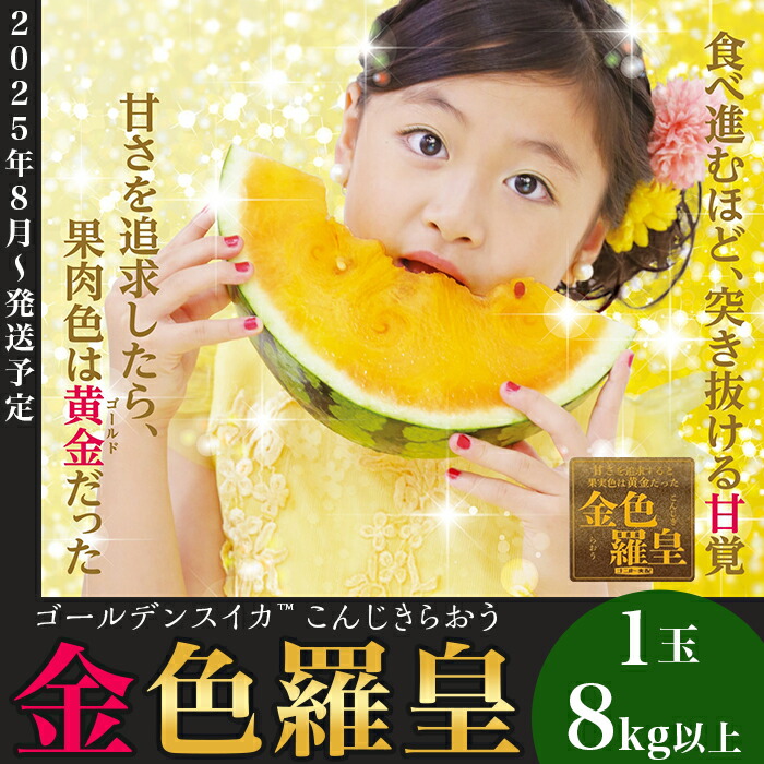 【ふるさと納税】先行予約 スイカ 金色羅皇 8kg以上（8kg以上×1玉）西瓜 大玉 甘い 黄色 黄金 糖度 こんじきらおう 2207 大玉すいか「金色羅皇」(8kg以上ｘ1玉)【2025年8月発送予定】