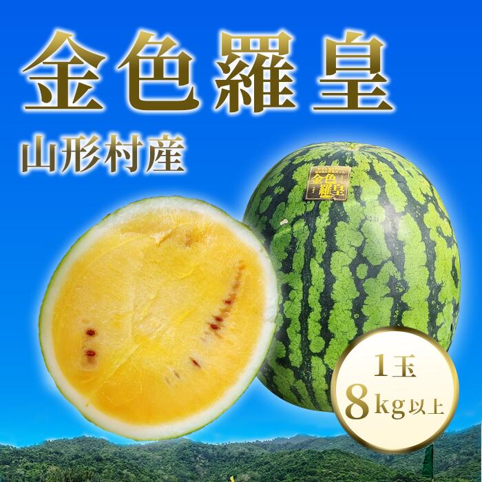 【ふるさと納税】先行予約 すいか スイカ 西瓜 金色羅皇 こんじきらおう 希少 人気 新品種 黄色 ゴールド 数量限定 糖度 大玉 山形村産 金色羅皇 1玉(8kg以上)中川農園 3208|長野県山形村