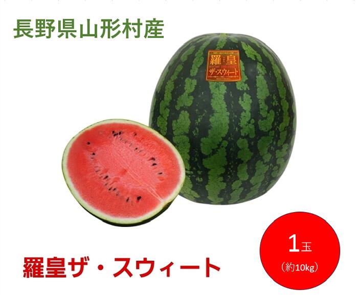 【ふるさと納税】先行予約 西瓜 スイカ 先行予約 3206 山形村産 すいか「羅皇ザ・スウィート」 1玉（10kg前後）