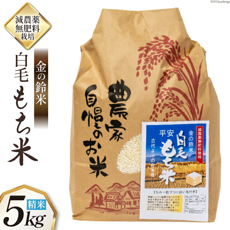【ふるさと納税】もち米 金の鈴米 平安 白毛もち米 精米 5kg [池田町観光協会 長野県 池田町 48110725] 白毛餅米 古代米 餅米