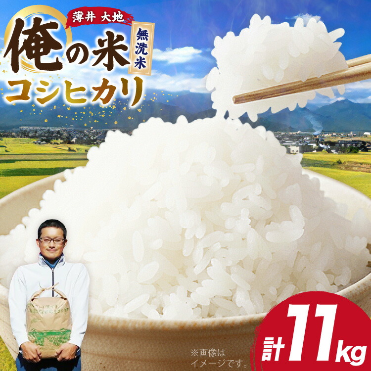 【ふるさと納税】 【俺の米】米 令和7年 コシヒカリ 無洗米 11kg [薄井 大地 長野県 池田町 48110782] お米 精米 白米 こしひかり 美味しい 農家 直送
