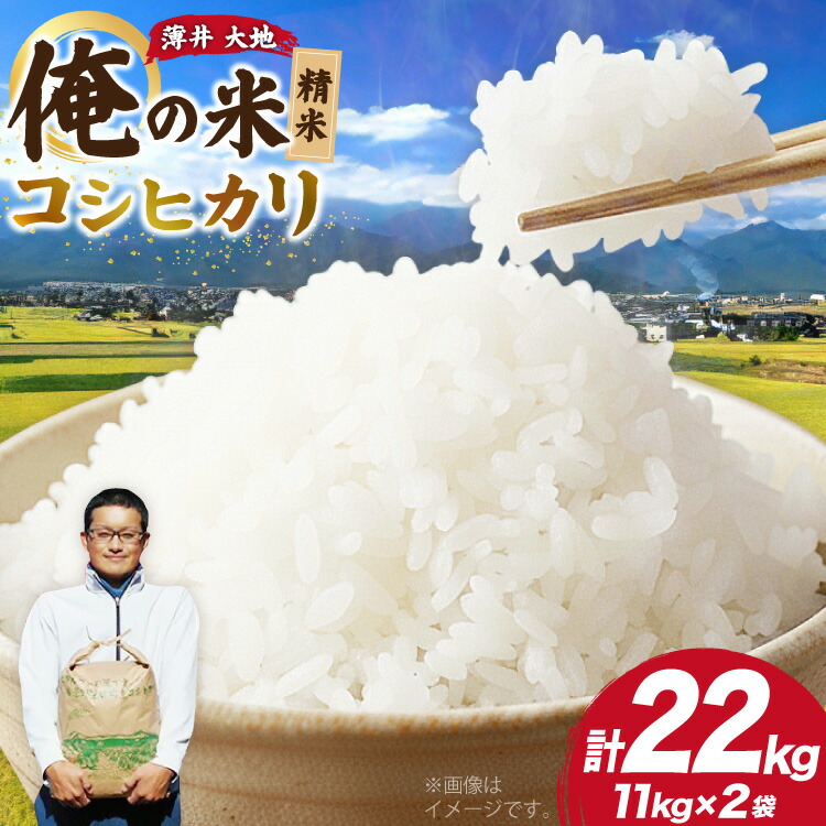 楽天市場】【ふるさと納税】【令和7年産新米】ミルキークイーン（玄米