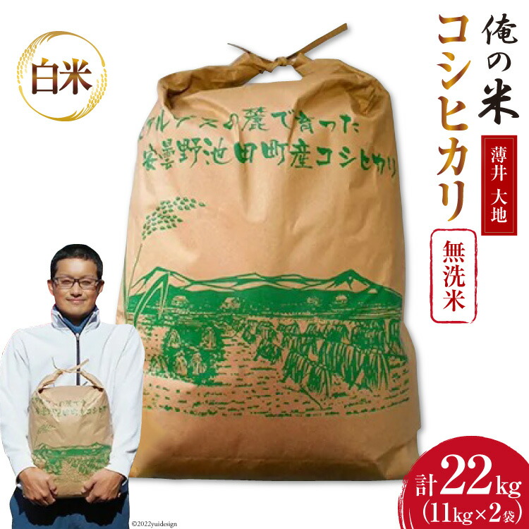 【ふるさと納税】【俺の米】米 令和7年 コシヒカリ 無洗米 11kg×2袋 計22kg [薄井 大地 長野県 池田町 48110781] お米 精米 白米 ごはん こしひかり 美味しい 農家 直送